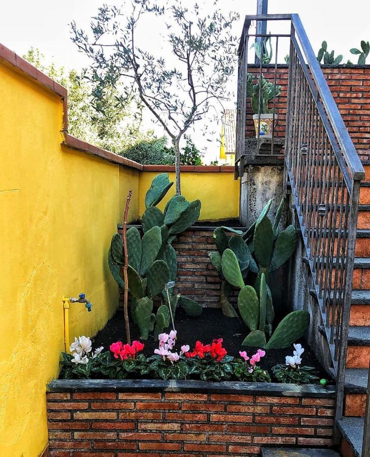 Opuntia Dell'Etna Bike House Apartment Mascalucia Exterior foto